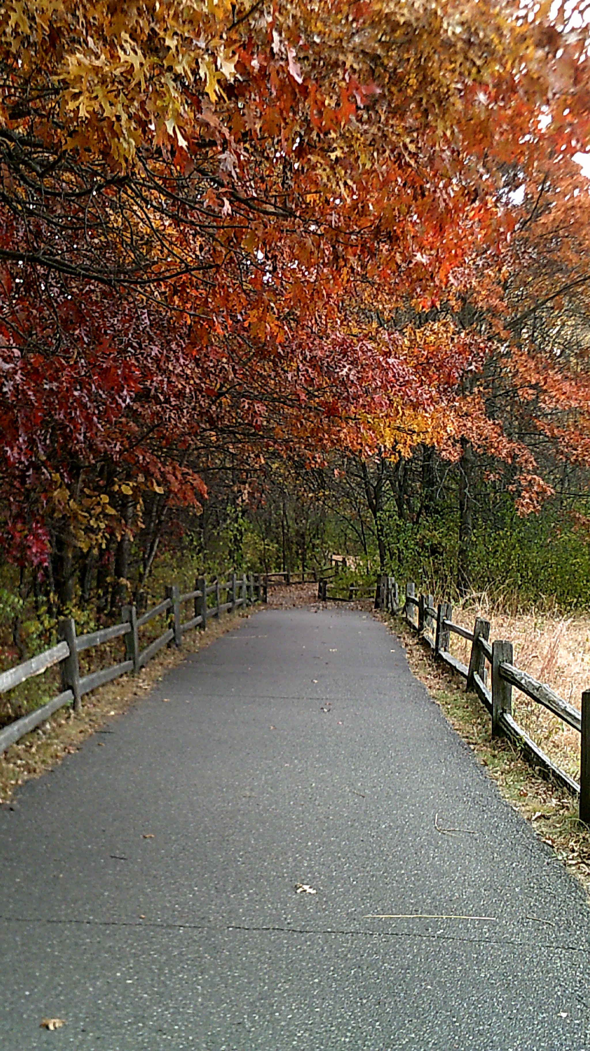 DSCF0003-d leslie crow